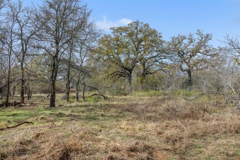 1050 Bugtussle Lane Luling TX 78648