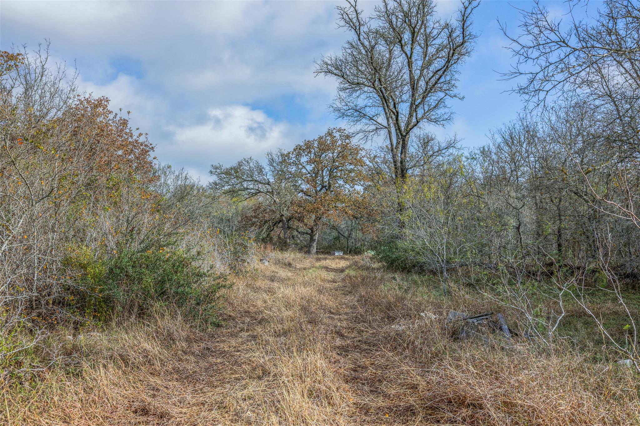 1050 Bugtussle Lane Luling TX 78648