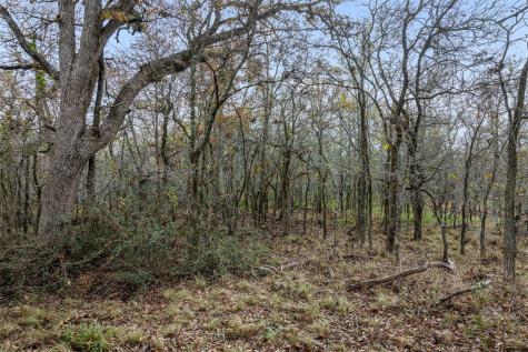 1050 Bugtussle Lane Luling TX 78648