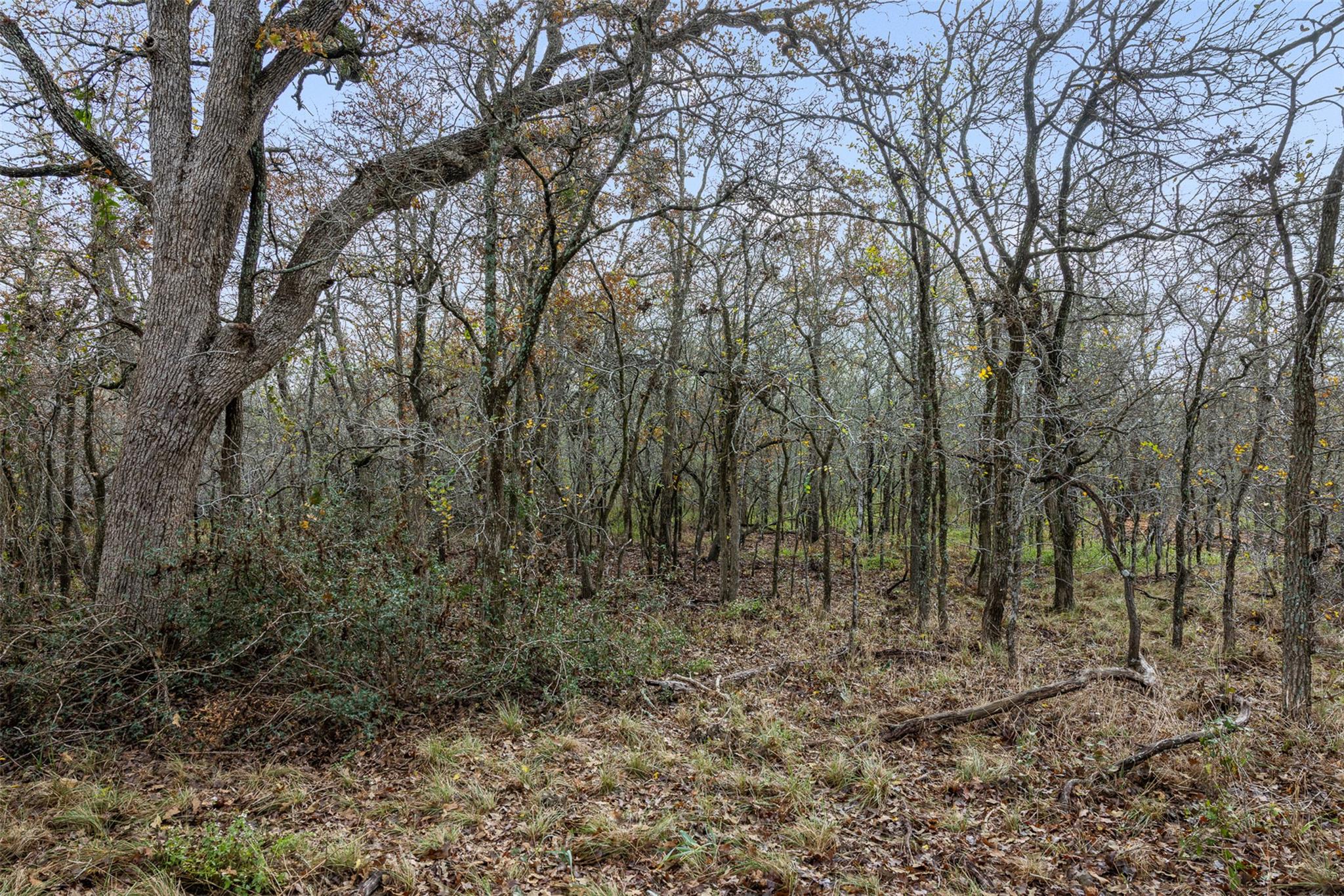 1050 Bugtussle Lane Luling TX 78648