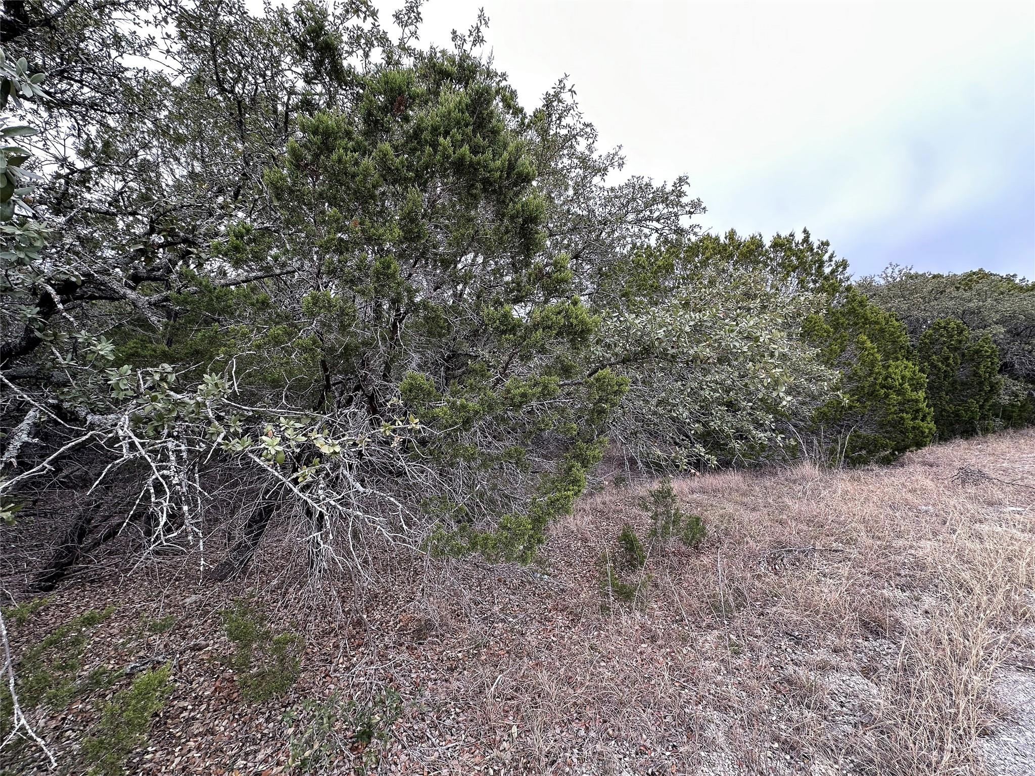 8446 Corral Lane Austin TX 78745