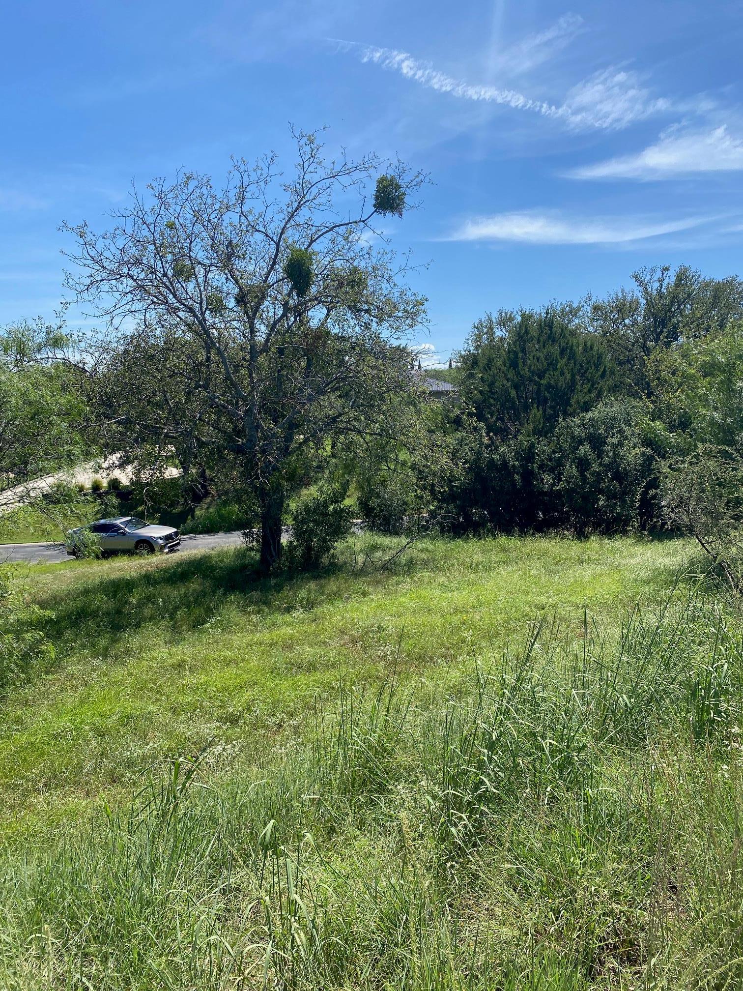 W25058 Apachetears/white Horseshoe Bay TX 78657