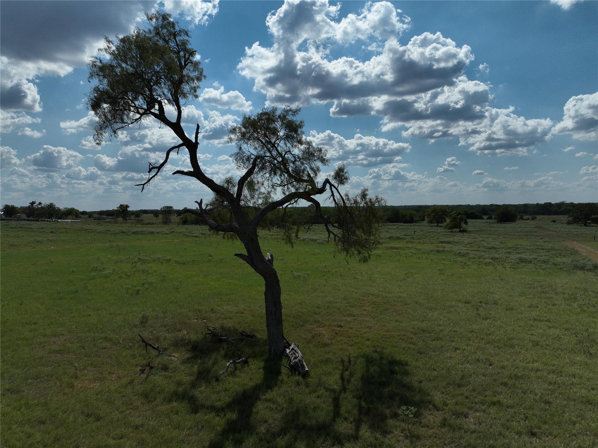 Tbd Lot 7 Tenney Creek Road Dale TX 78616