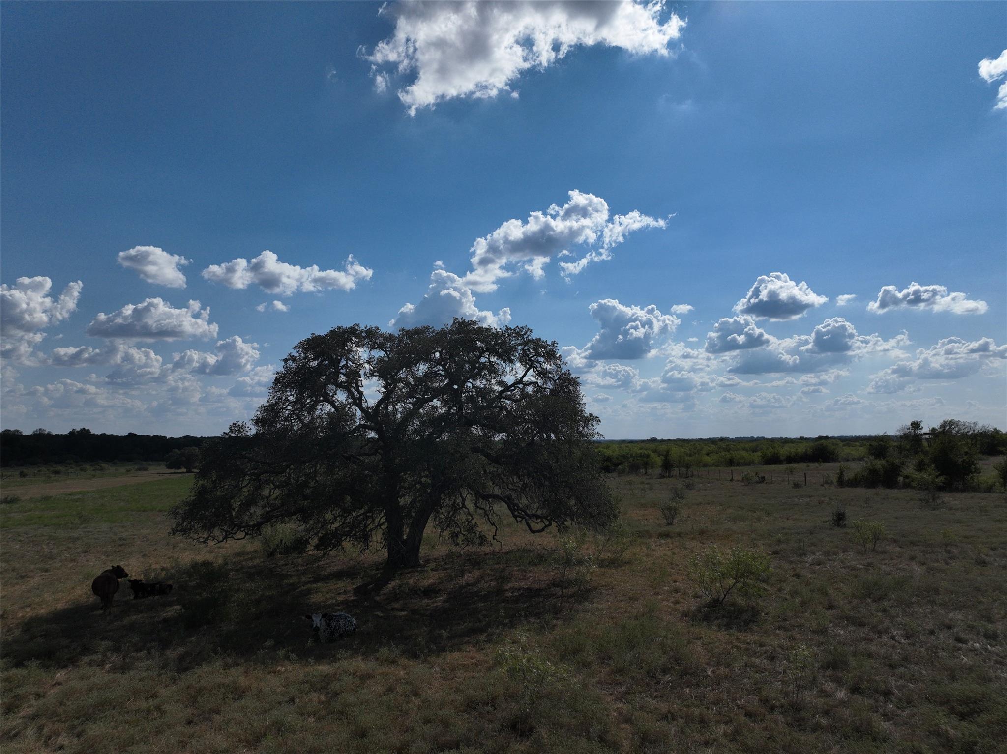 Tbd Lot 7 Tenney Creek Road Dale TX 78616