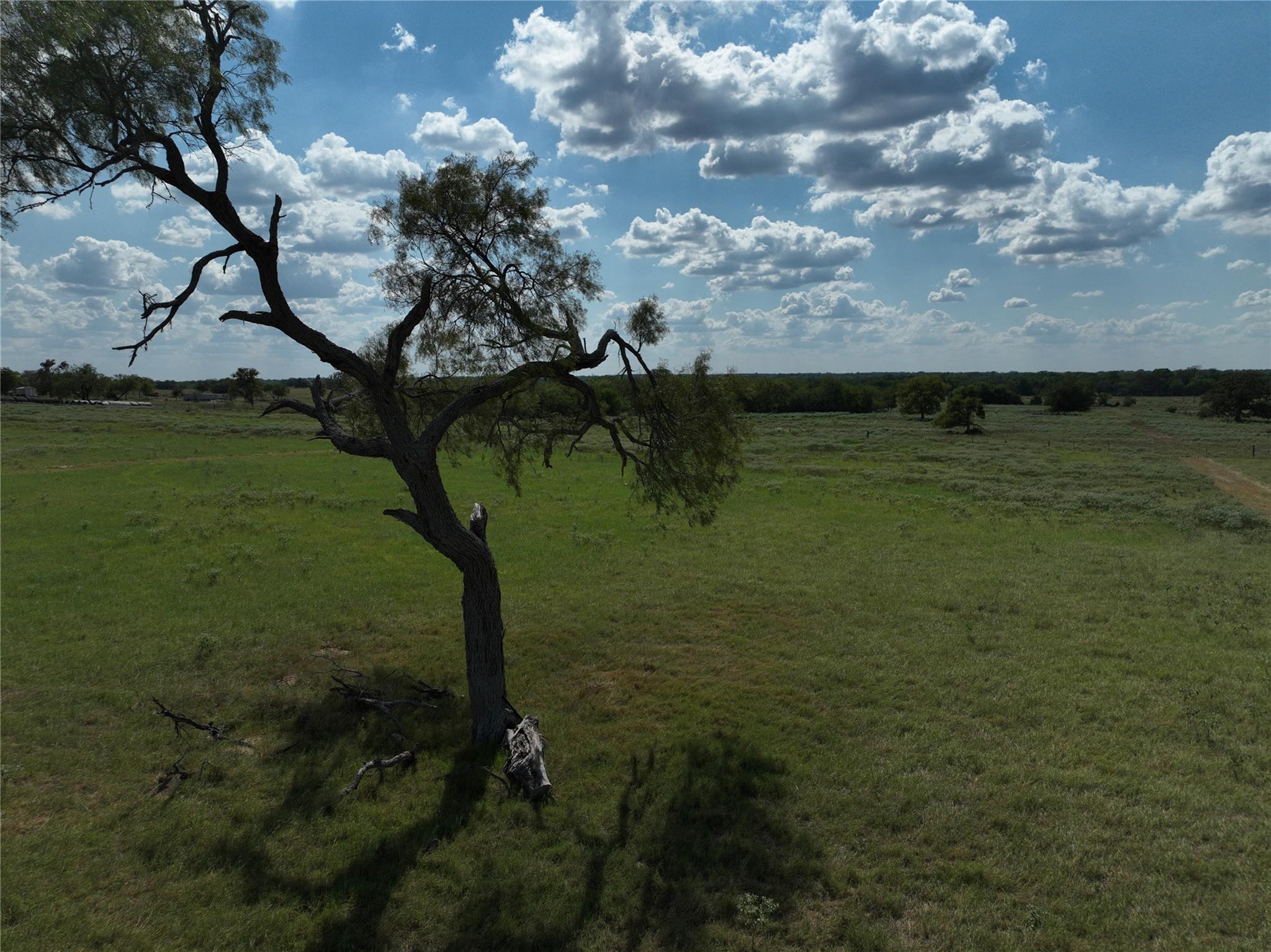 Tbd Lot 7 Tenney Creek Road Dale TX 78616