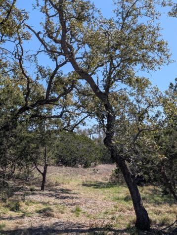 508 Deer Creek Drive San Marcos TX 78666