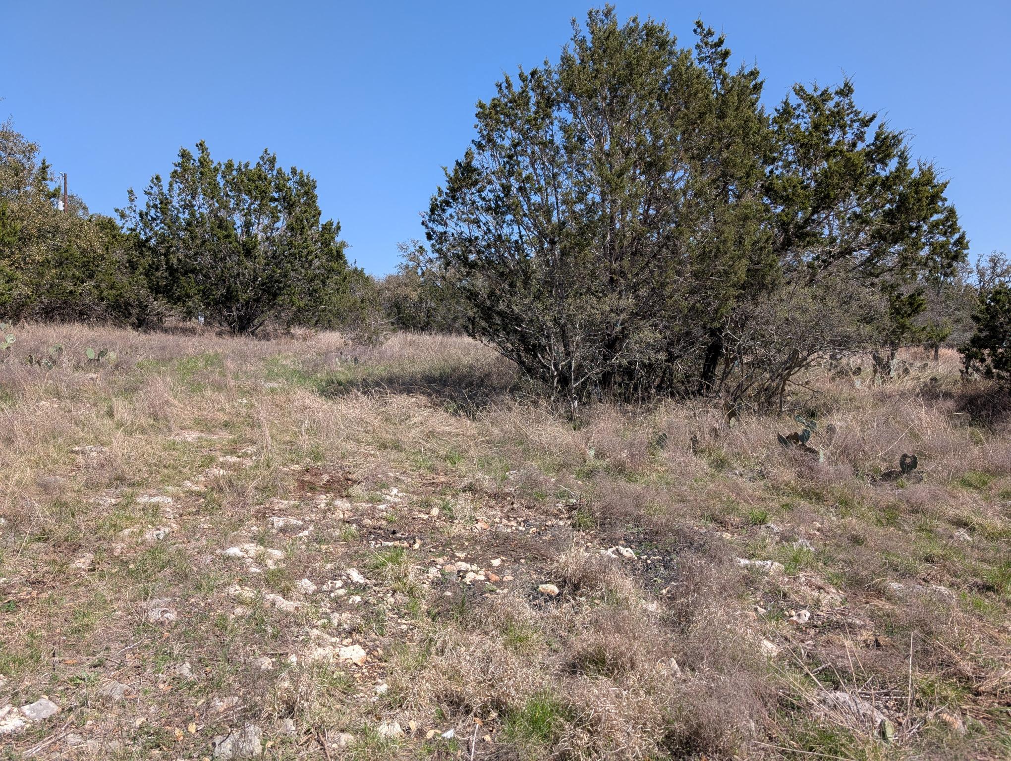 508 Deer Creek Drive San Marcos TX 78666