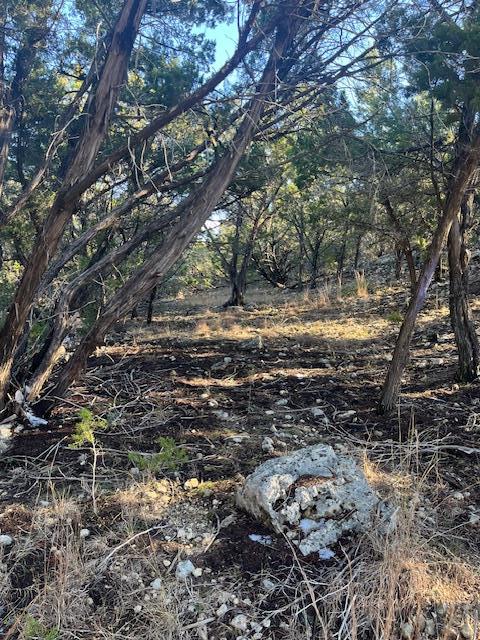201 Assiniboia Drive Canyon Lake TX 78133