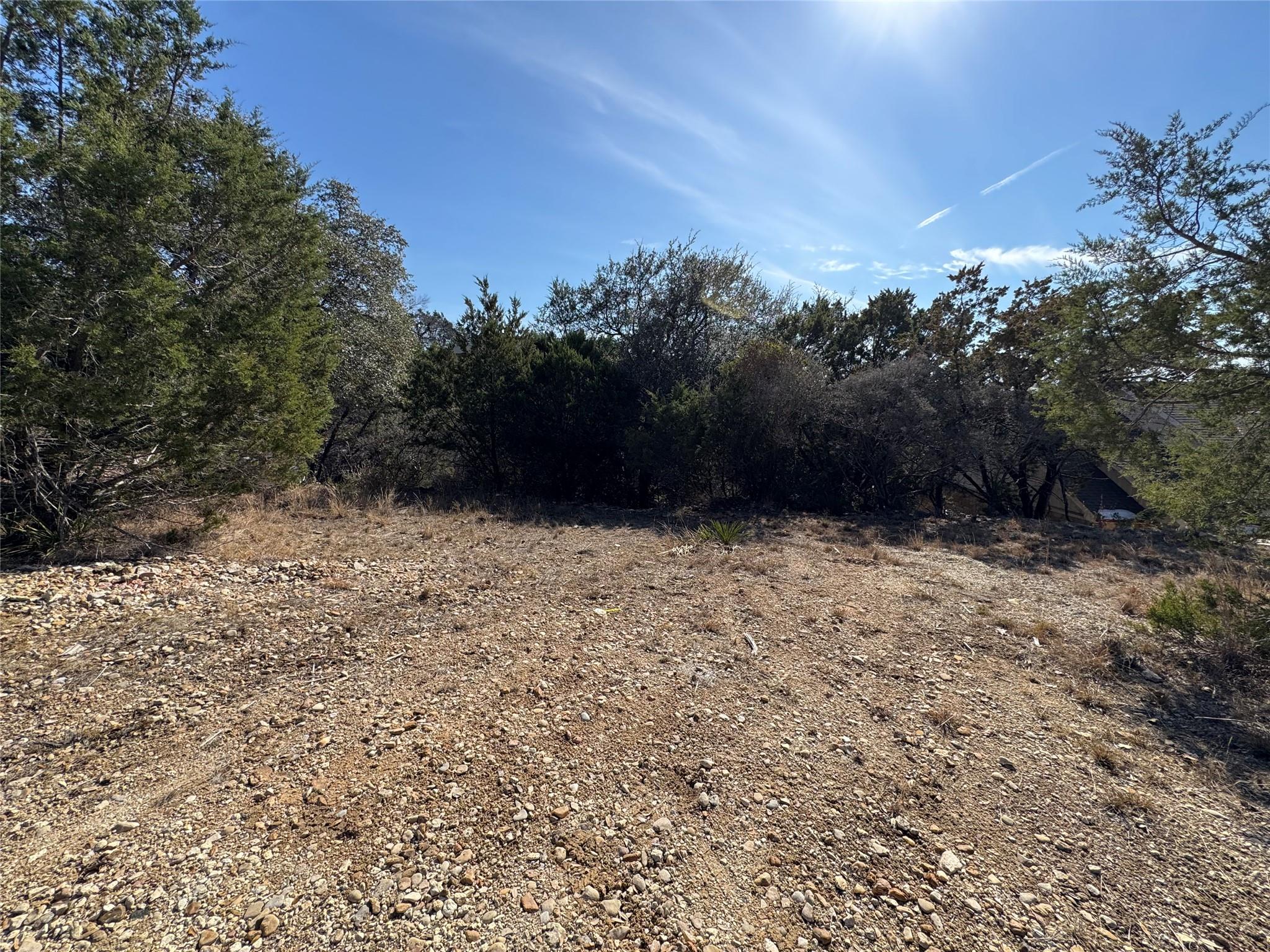 20405 Doolittle Cove Lago Vista TX 78645
