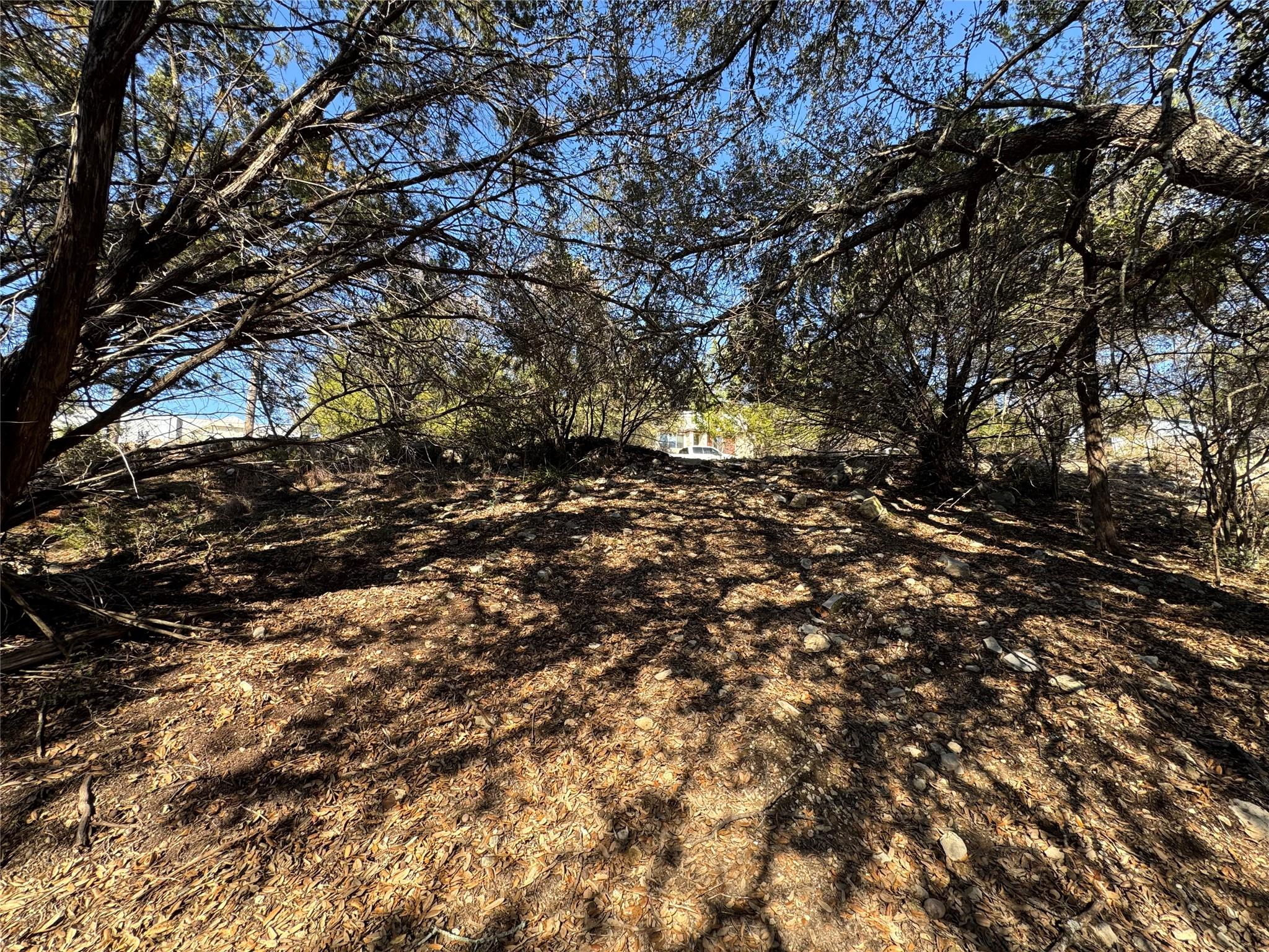 20405 Doolittle Cove Lago Vista TX 78645