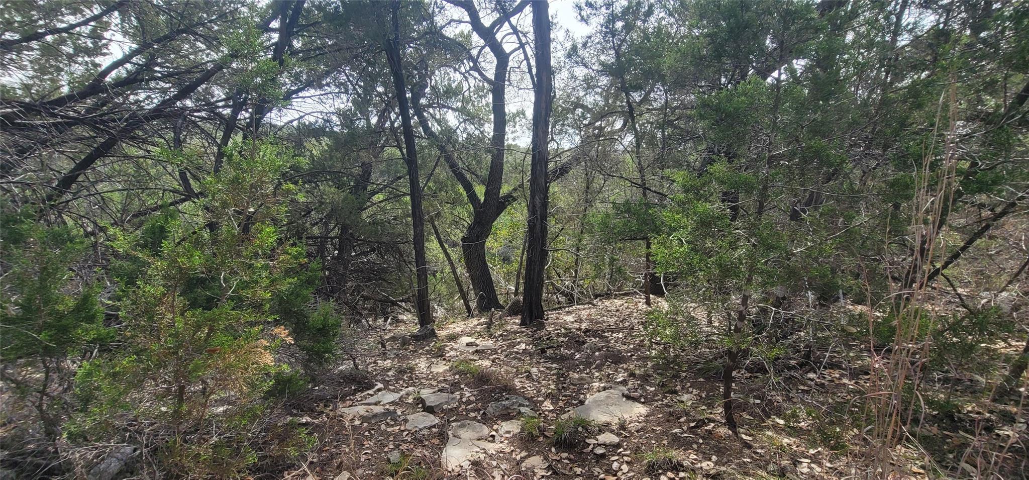 21003 Panhandle Cove Lago Vista TX 78645