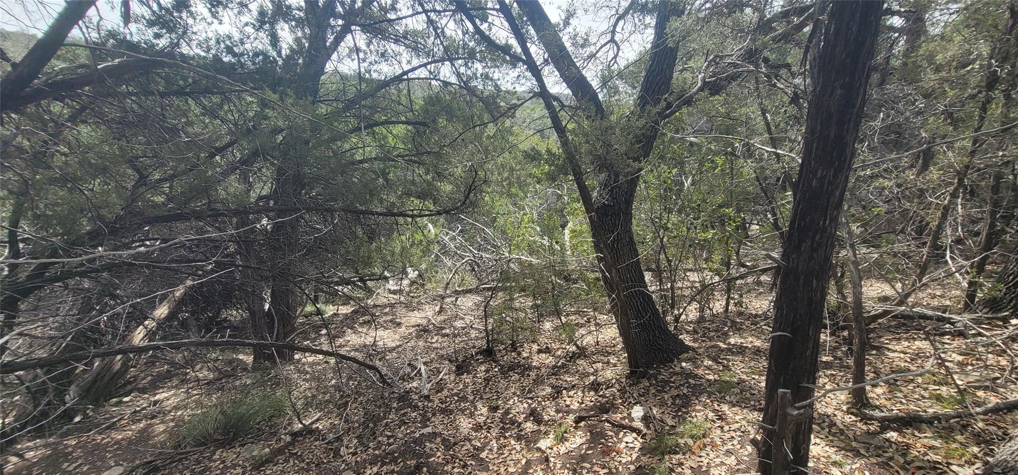 21003 Panhandle Cove Lago Vista TX 78645
