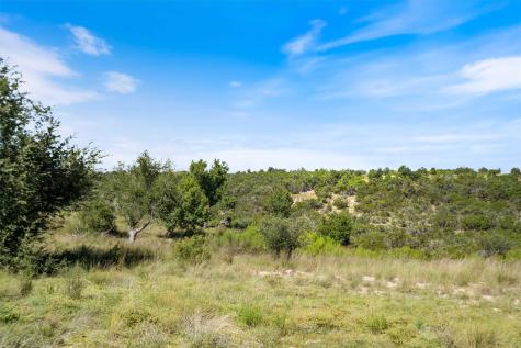 Tbd Lookout Mountain Road Johnson City TX 78636