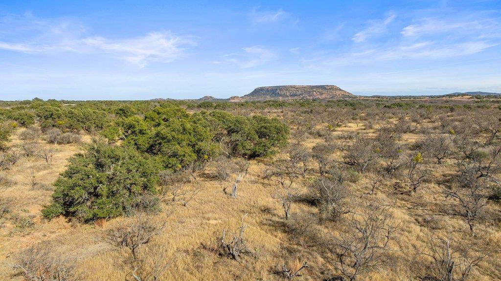 6304-A County Road 110 Road Llano TX 78643