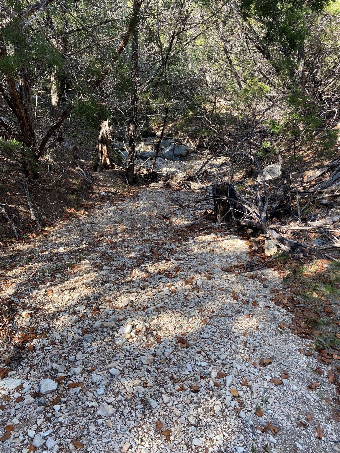 184 Jeanette Circle Canyon Lake TX 78133