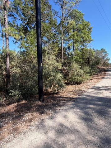Lot 320 Keneka Lane Bastrop TX 78602
