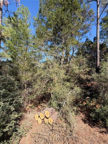 Lot 320 Keneka Lane Bastrop TX 78602