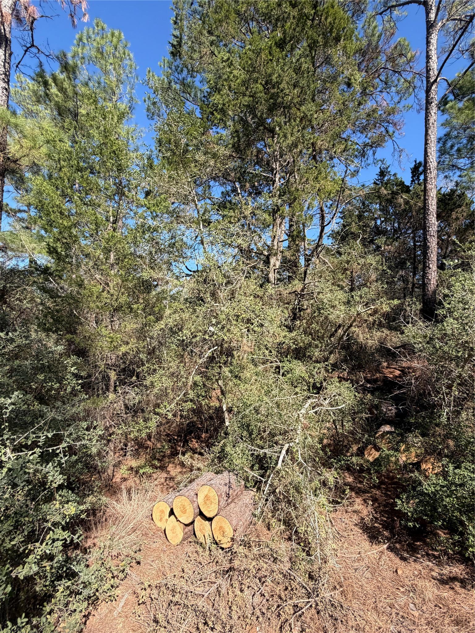 Lot 320 Keneka Lane Bastrop TX 78602