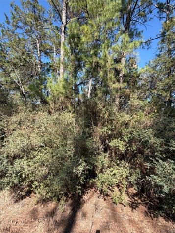 Lot 320 Keneka Lane Bastrop TX 78602