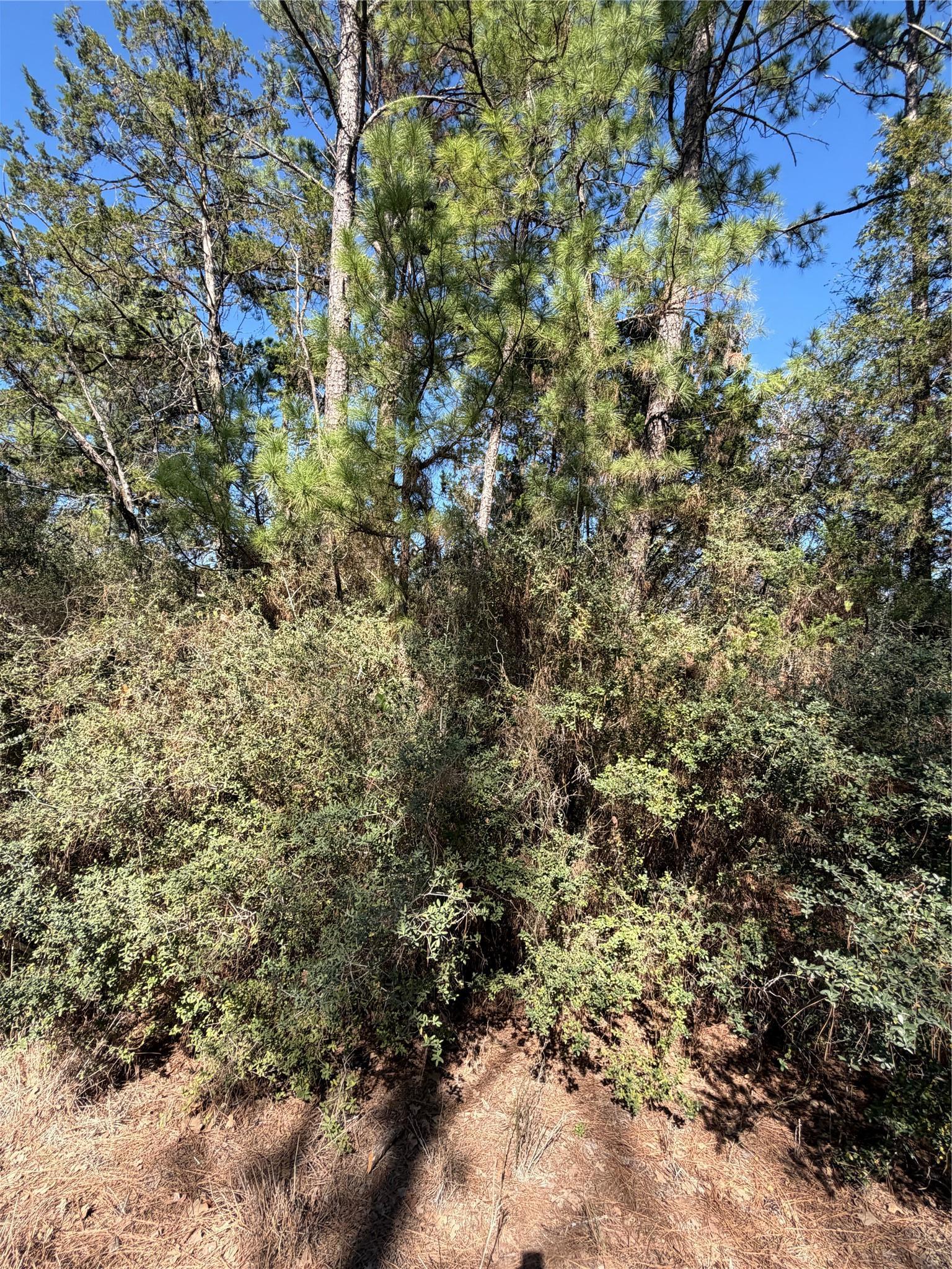 Lot 320 Keneka Lane Bastrop TX 78602