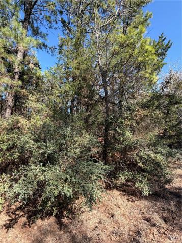 Lot 320 Keneka Lane Bastrop TX 78602