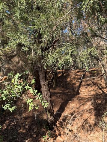 Lot 320 Keneka Lane Bastrop TX 78602