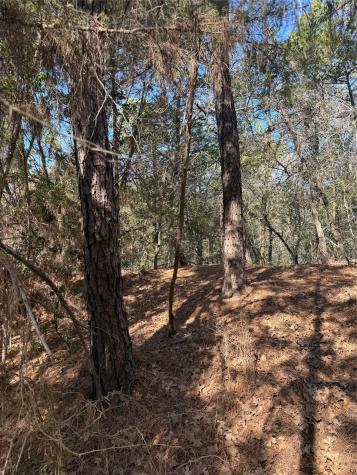 Lot 320 Keneka Lane Bastrop TX 78602