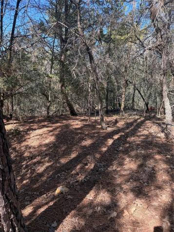 Lot 320 Keneka Lane Bastrop TX 78602