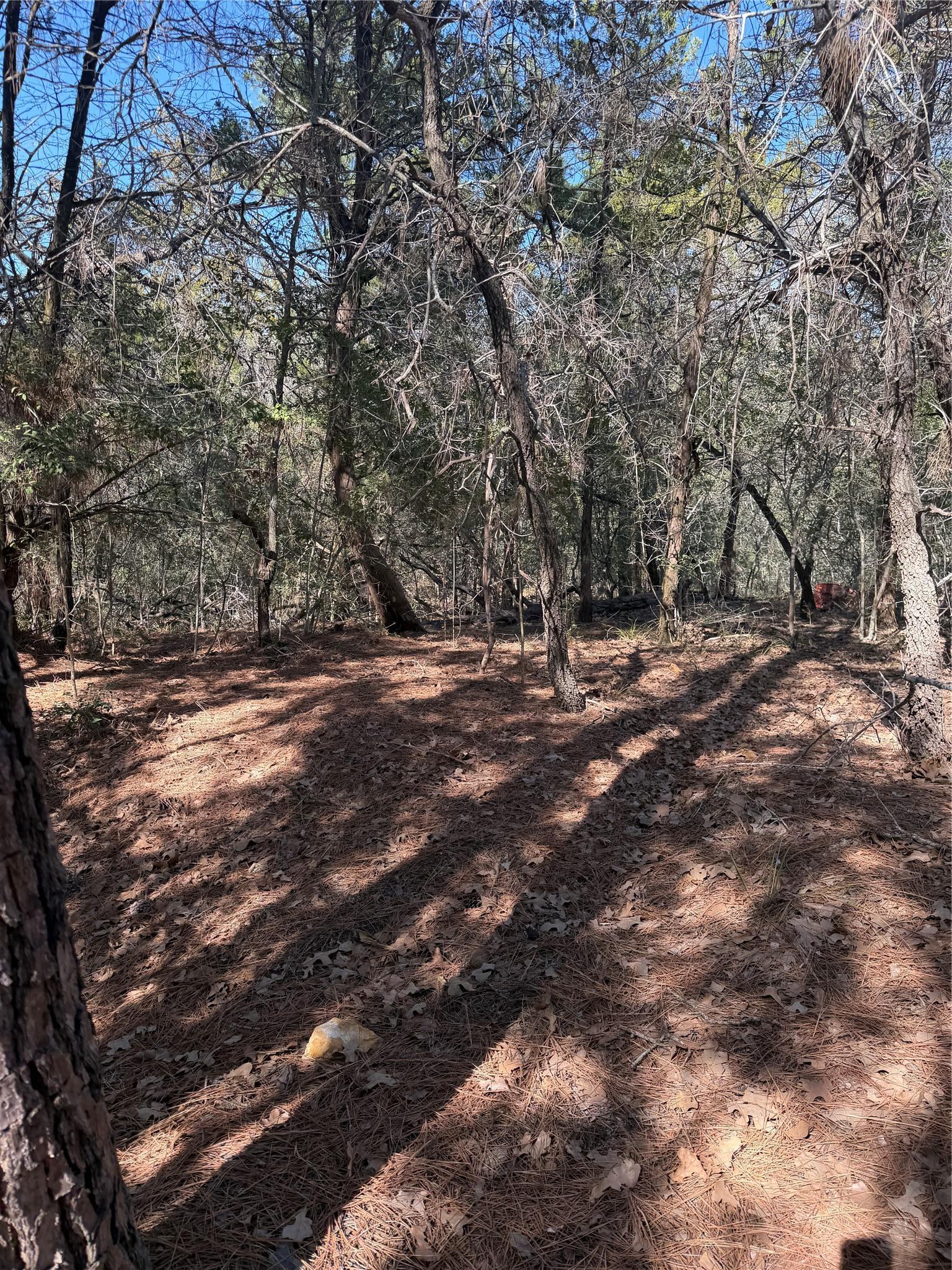 Lot 320 Keneka Lane Bastrop TX 78602
