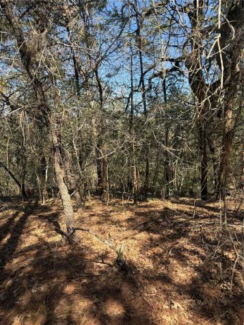 Lot 320 Keneka Lane Bastrop TX 78602