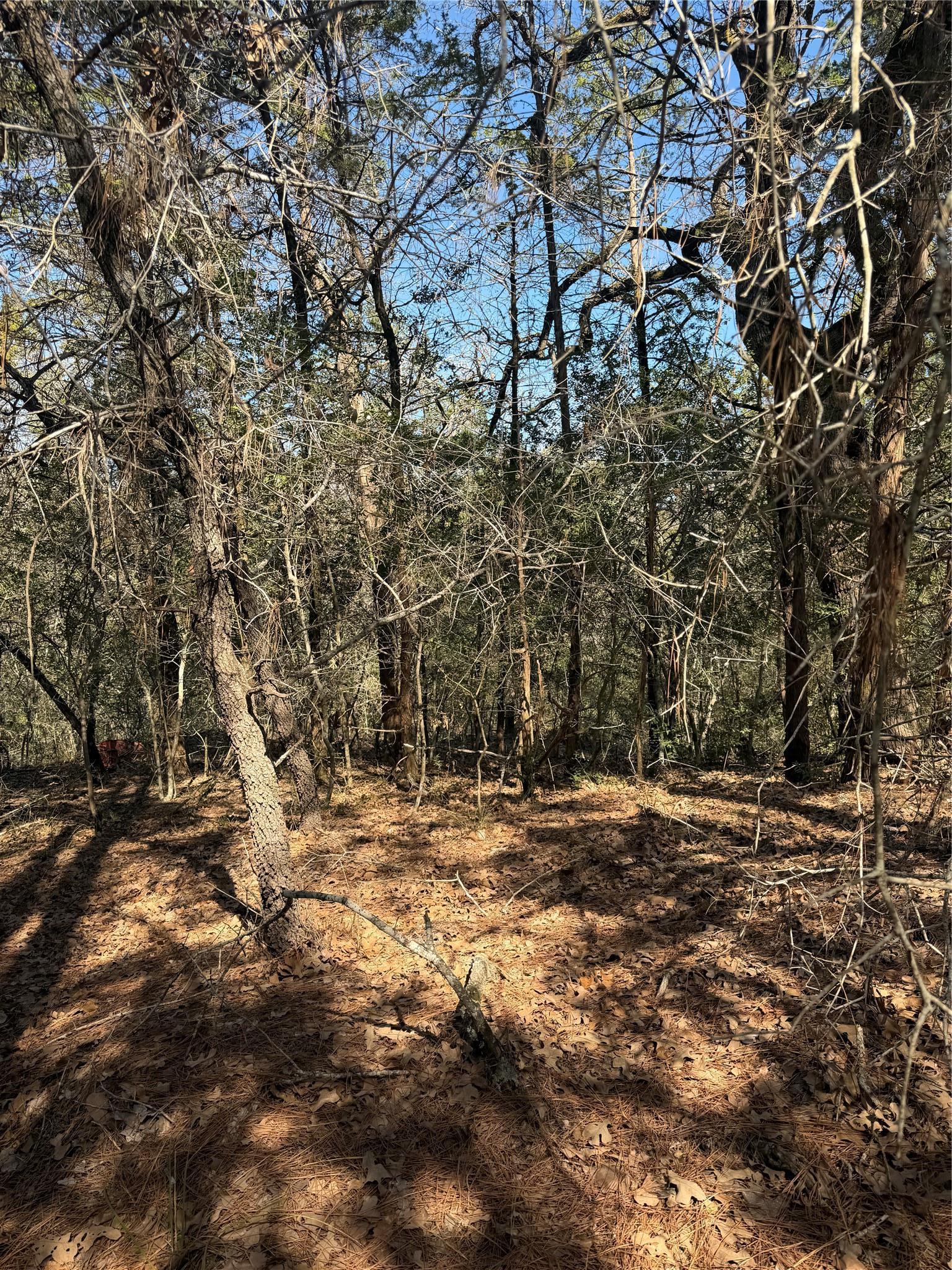 Lot 320 Keneka Lane Bastrop TX 78602