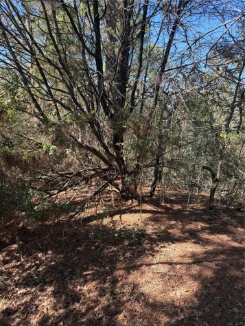 Lot 320 Keneka Lane Bastrop TX 78602