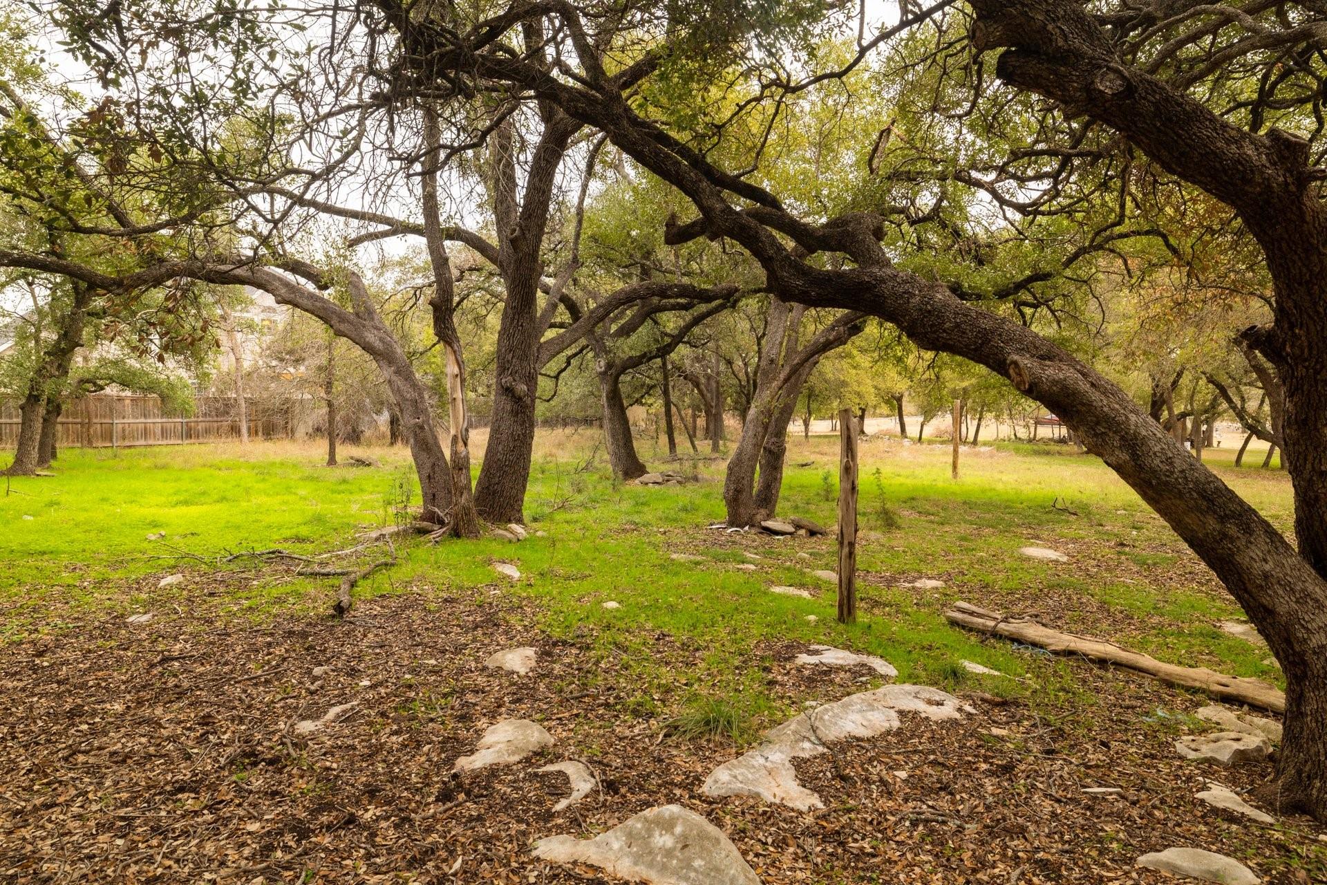 6626 Jim Hogg Drive Georgetown TX 78633