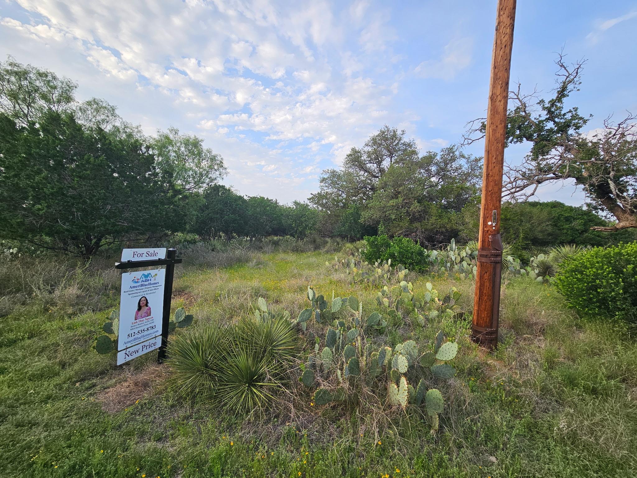 Pid 17063 Sweetbriar Drive Granite Shoals TX 78654