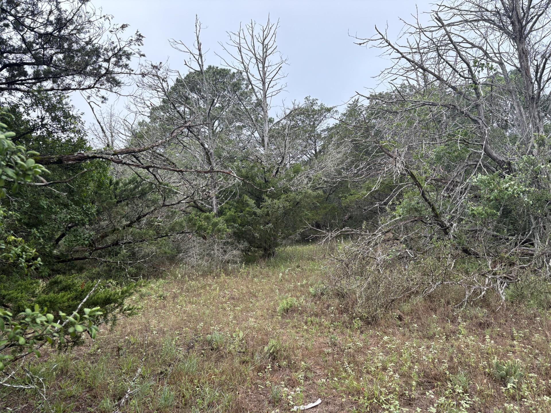 Tbd Hanauma Drive Bastrop TX 78602