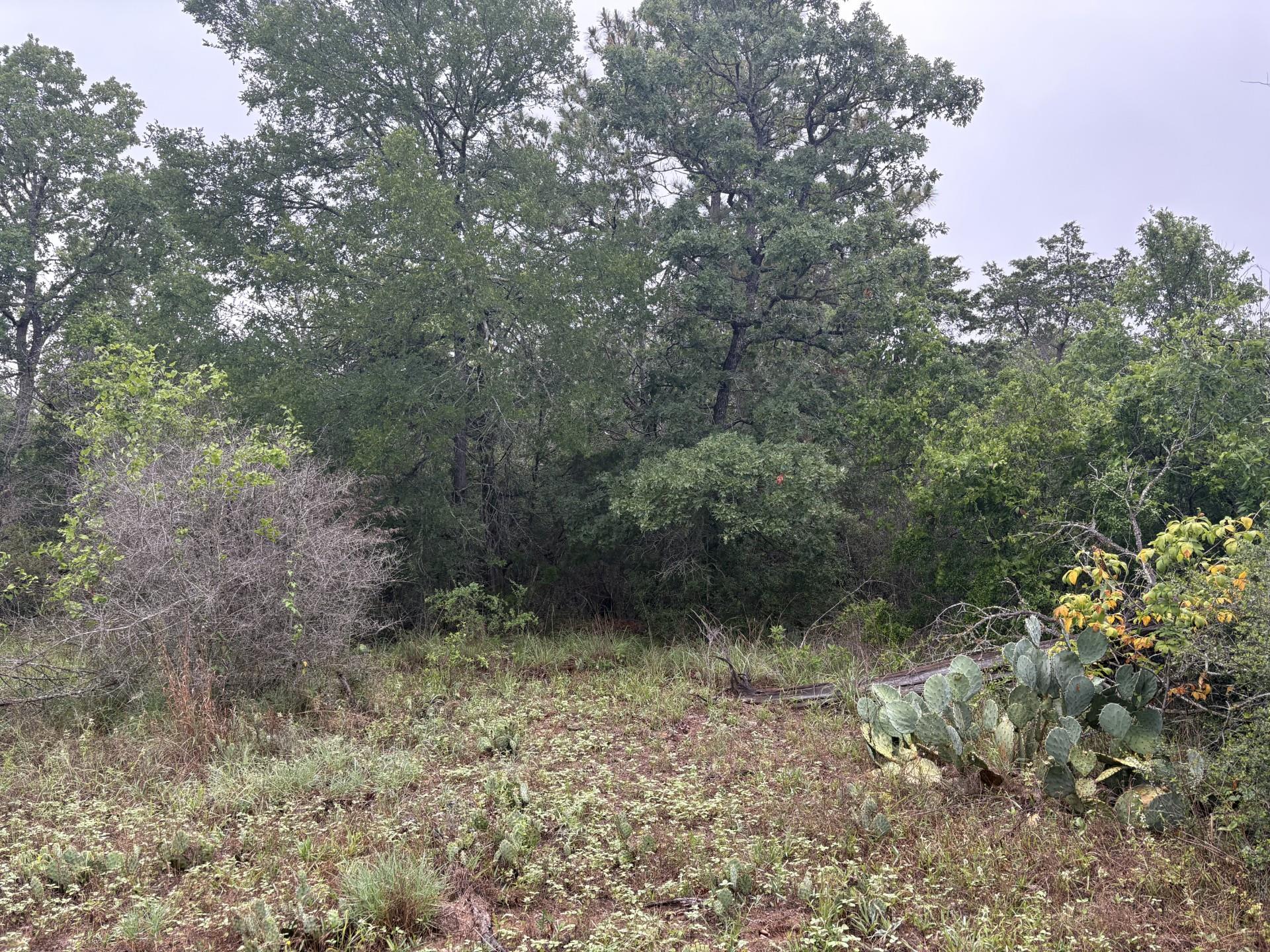 Tbd Hanauma Drive Bastrop TX 78602