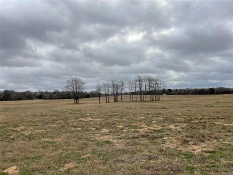 1498 Walleye Creek Lane Lexington TX 78947