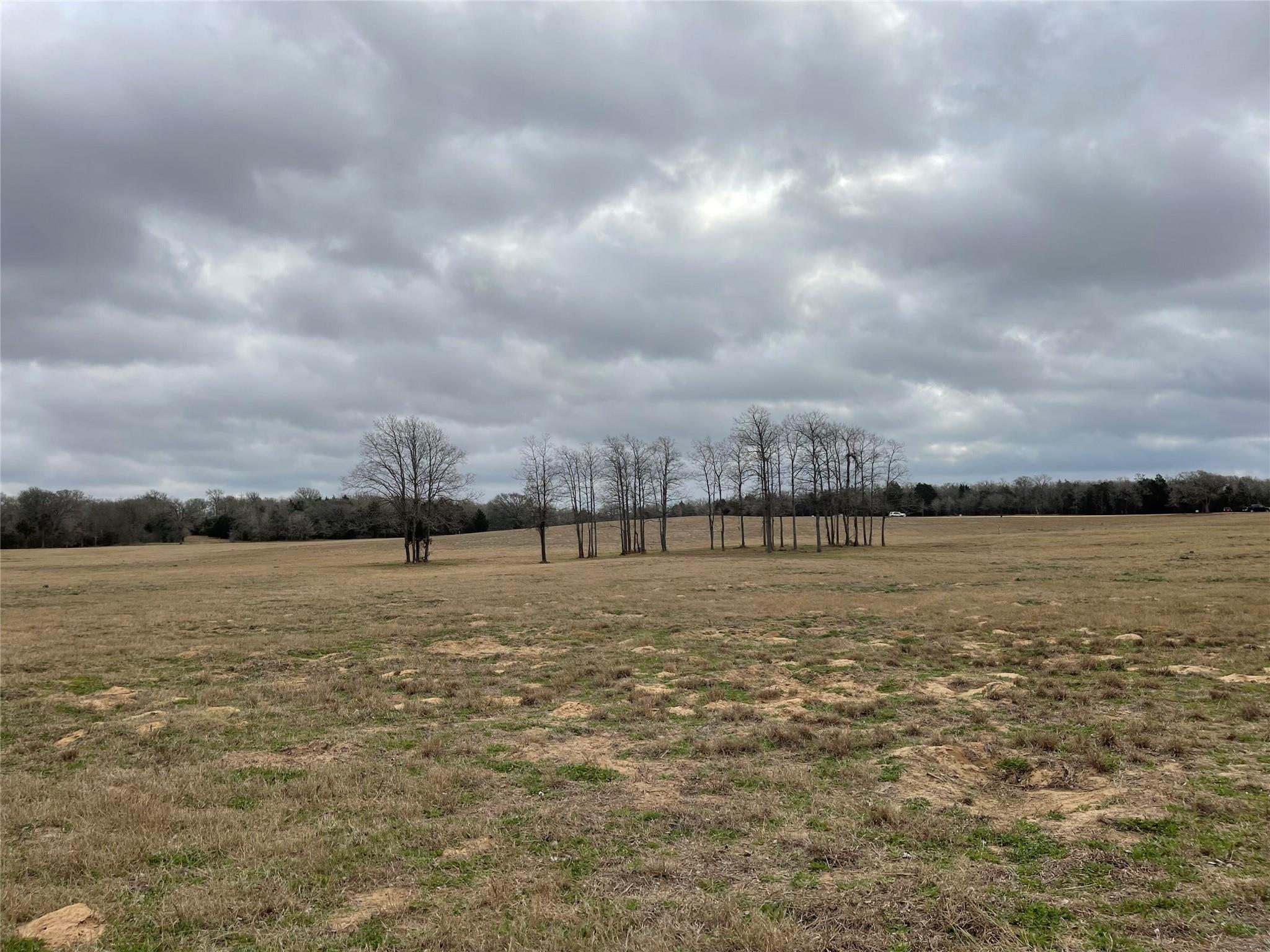 1498 Walleye Creek Lane Lexington TX 78947