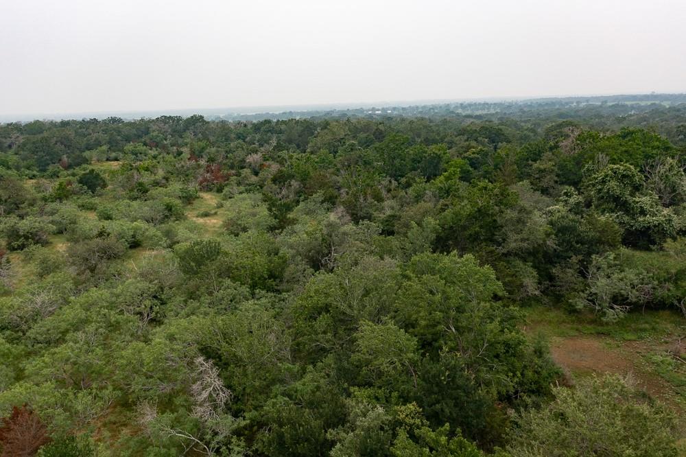 Lot 2 Private Road 4601 Waelder TX 78959