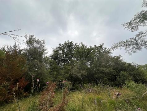 Lot 2 Private Road 4601 Waelder TX 78959