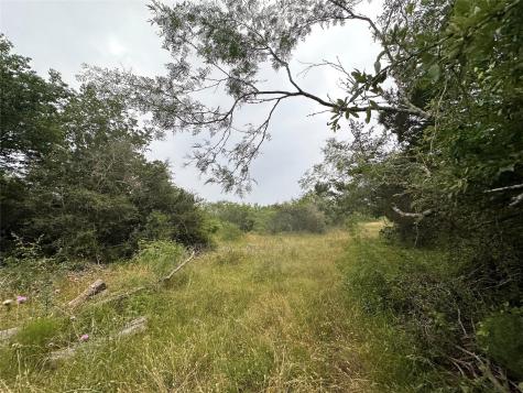 Lot 2 Private Road 4601 Waelder TX 78959