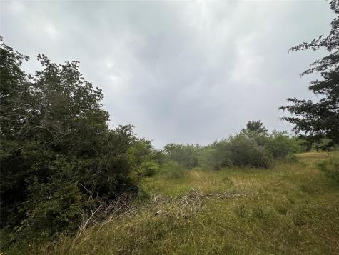 Lot 2 Private Road 4601 Waelder TX 78959