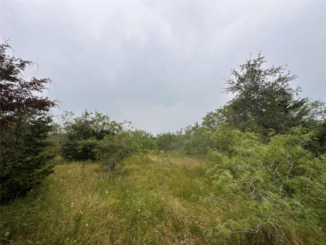 Lot 2 Private Road 4601 Waelder TX 78959