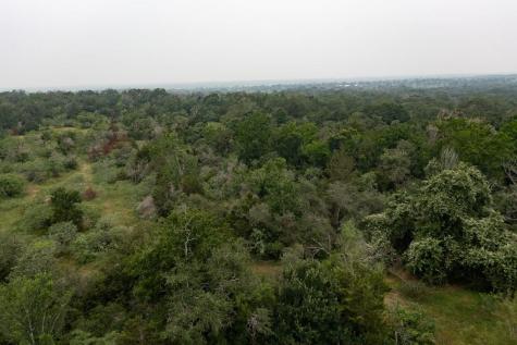 Lot 2 Private Road 4601 Waelder TX 78959