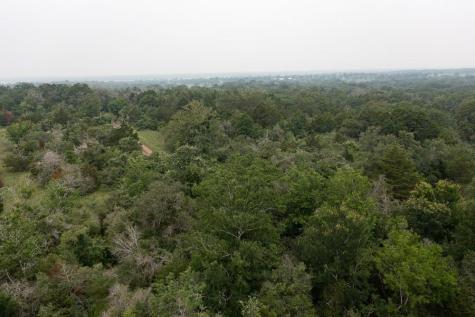Lot 2 Private Road 4601 Waelder TX 78959