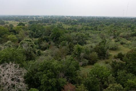 Lot 2 Private Road 4601 Waelder TX 78959