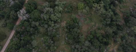 Lot 2 Private Road 4601 Waelder TX 78959