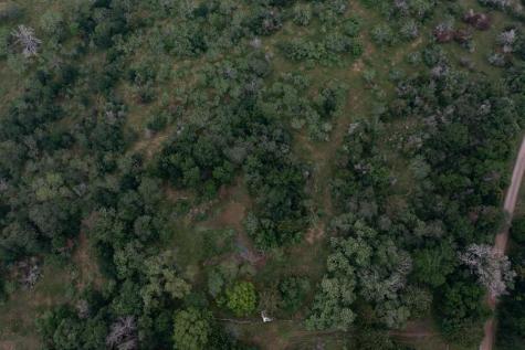 Lot 2 Private Road 4601 Waelder TX 78959