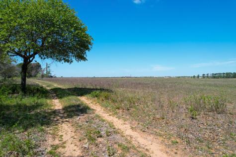 1550 Cattlemens Row Lockhart TX 78644
