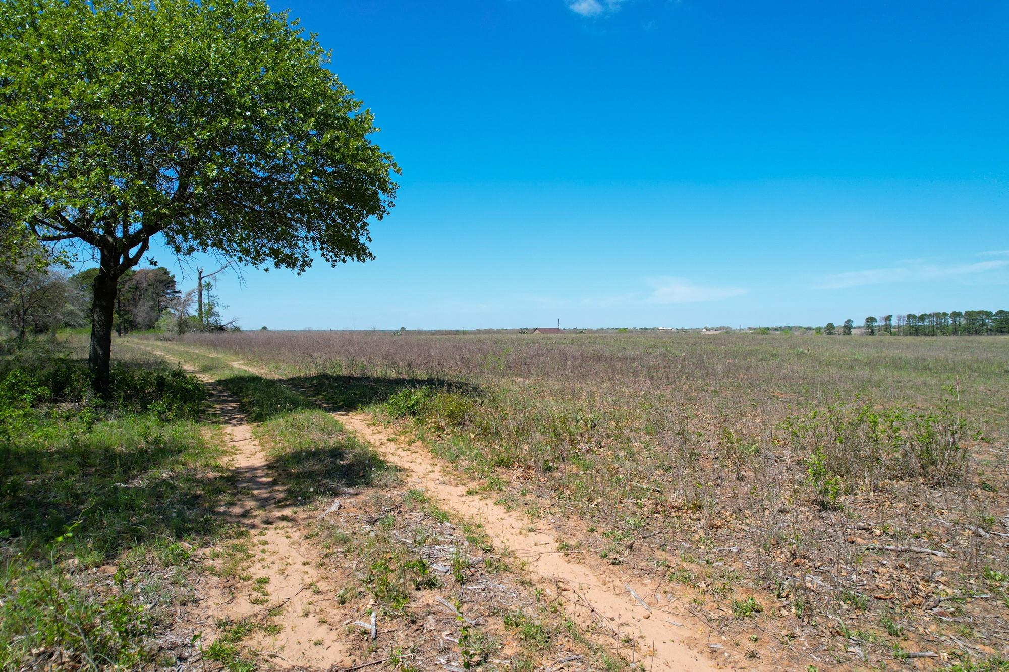 1550 Cattlemens Row Lockhart TX 78644